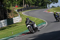 Vintage-motorcycle-club;eventdigitalimages;mallory-park;mallory-park-trackday-photographs;no-limits-trackdays;peter-wileman-photography;trackday-digital-images;trackday-photos;vmcc-festival-1000-bikes-photographs